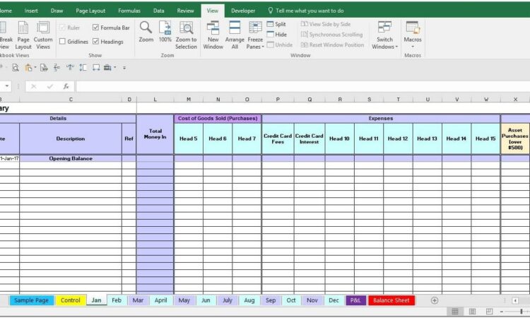 12 Month Income And Expense Template