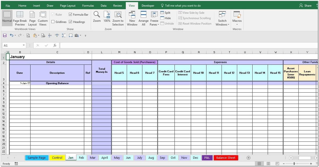 12 Month Income And Expense Template