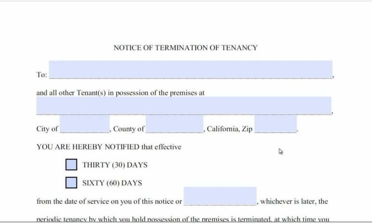 60 Day Eviction Notice Template California