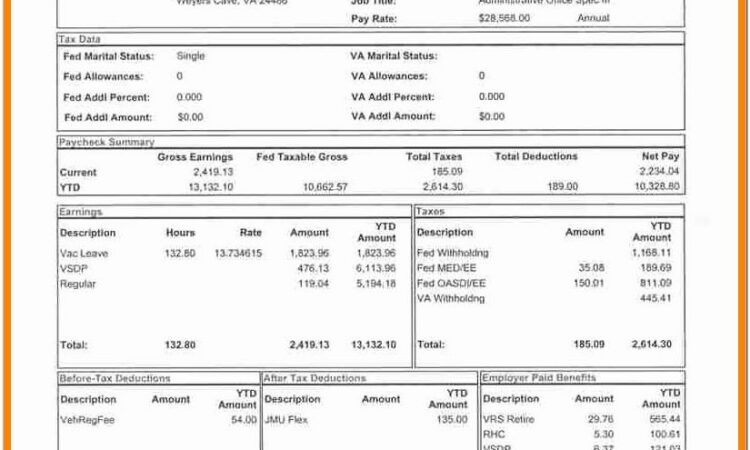 Adp Blank Check Stub Template