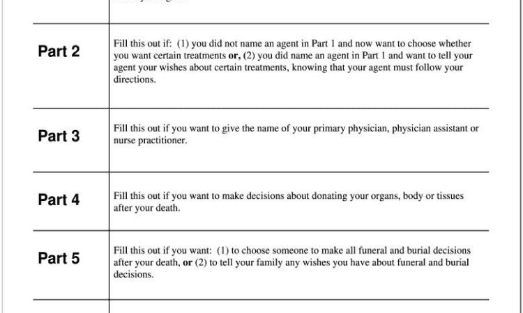 Advance Healthcare Directive Form Florida