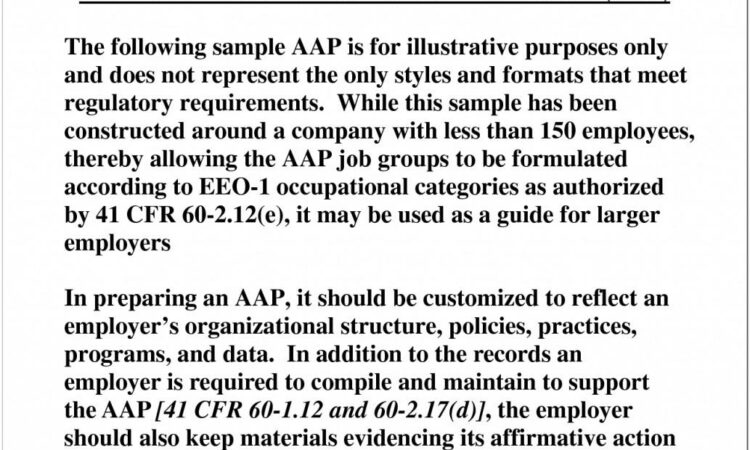 Affirmative Action Plan Sample