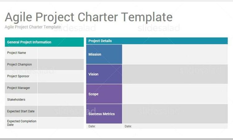 Agile Project Charter Examples