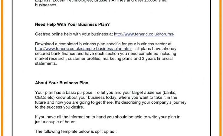 Airline Business Plan Sample