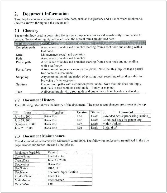 Airline Business Plan Template