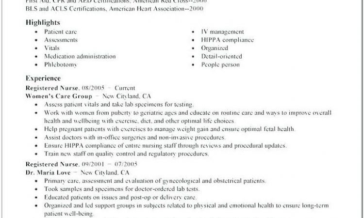 American Cv Example Doc