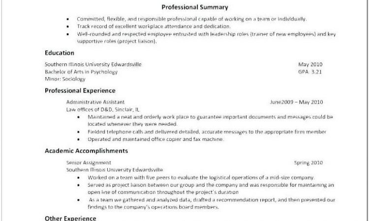 American Cv Sample Doc