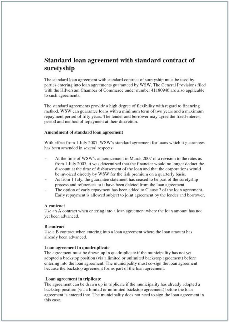 Angel Investment Contract Template