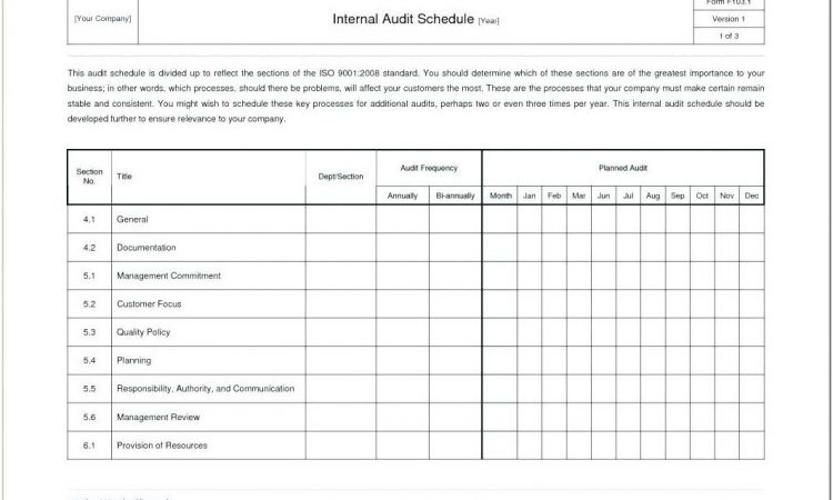 Annual It Audit Plan Template