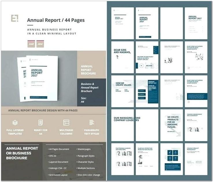 Annual Report Template Indesign Download