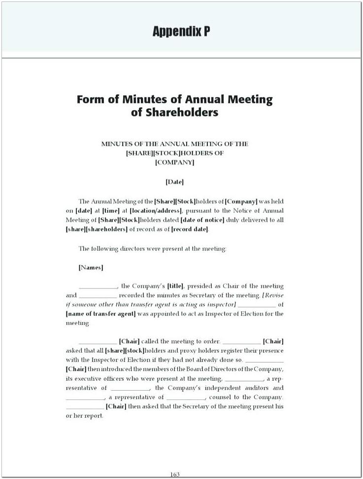 Annual Shareholder Meeting Minutes Sample