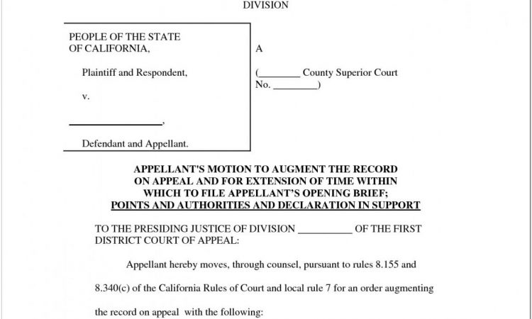 Appellate Brief Template Microsoft Word Free