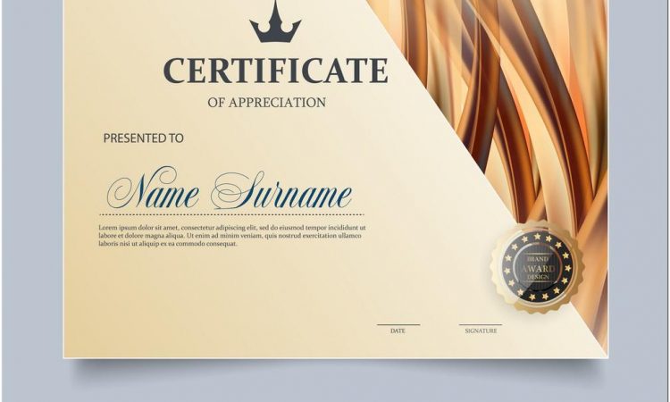 Appreciation Certificate Template Vector