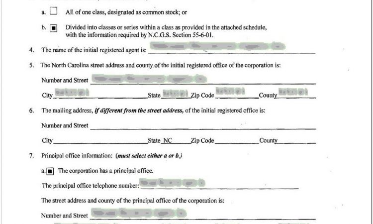 Articles Of Incorporation Llc Sample