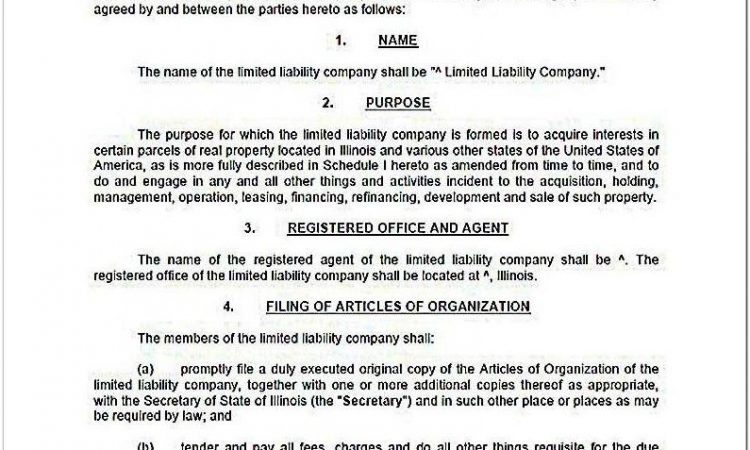 Articles Of Organization Llc Illinois Example