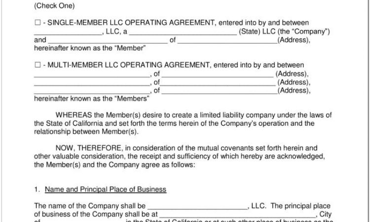 Articles Of Organization Llc Template