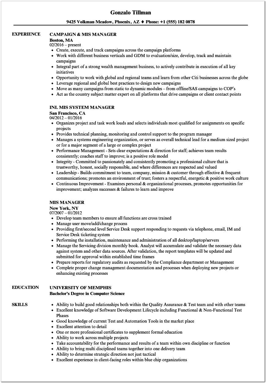 Assistant Manager Mis Resume Format