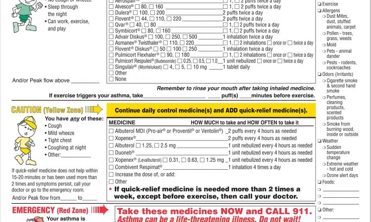 Asthma Action Plan Form For School