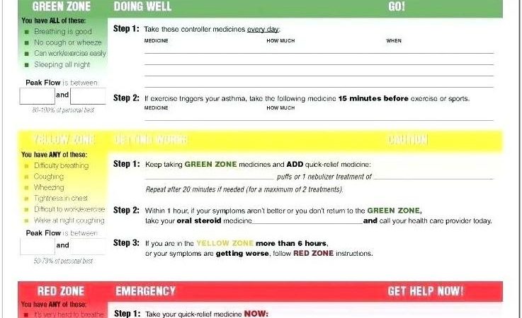 Asthma Action Plan Template Nsw