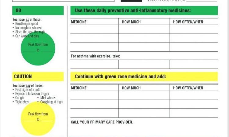 Asthma Care Plan Template