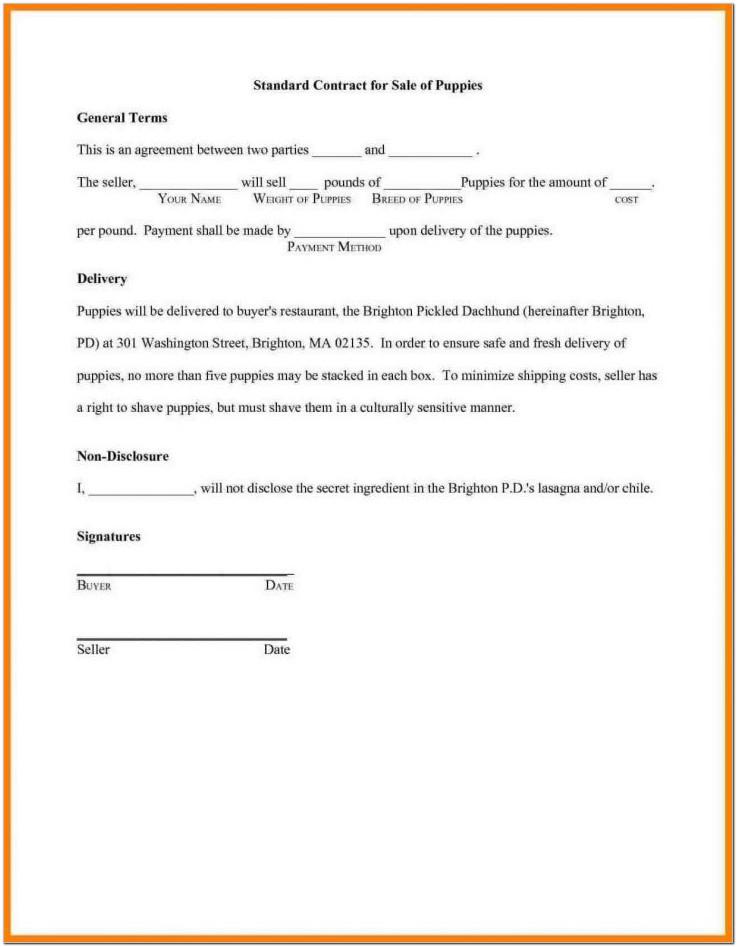 Auto Sales Contracts Templates