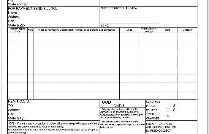 Auto Transport Bill Of Lading Template Free