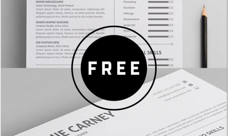 Awesome Resume Templates Free