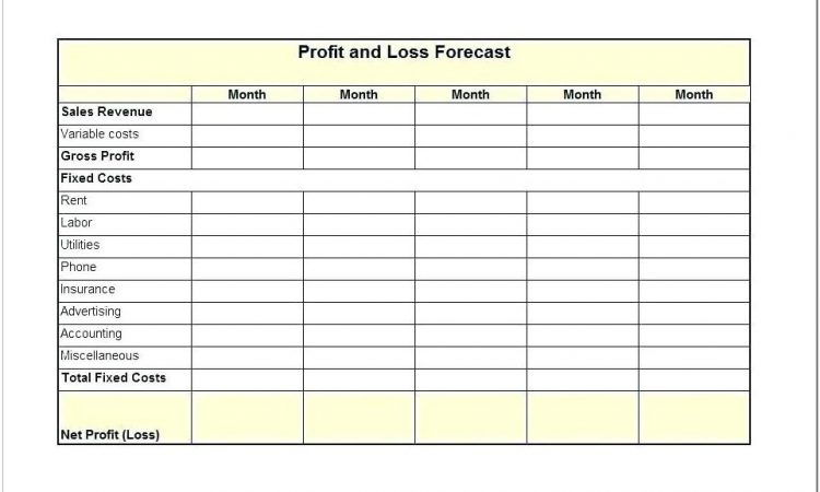 Barclays Profit And Loss Forecast Template