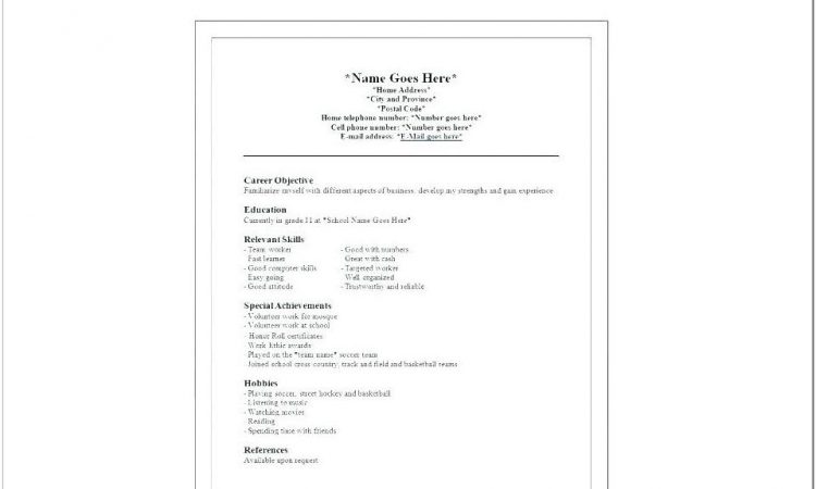 Baseball Coach Resume Template