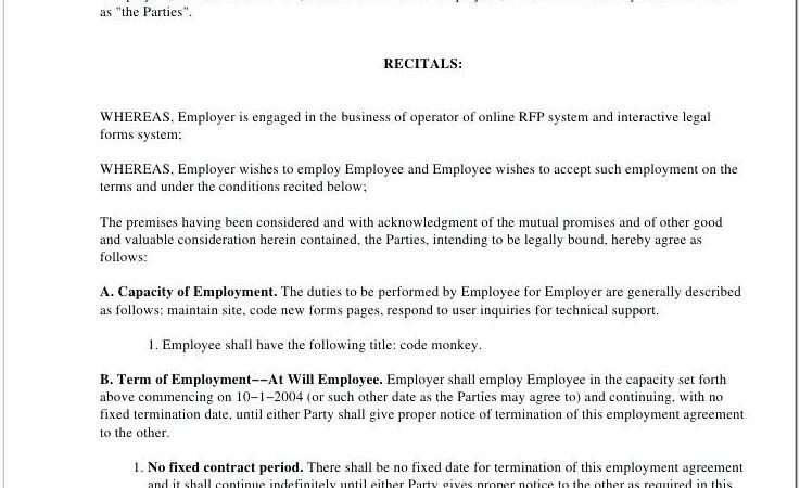 Basic Employment Contract Template Free Nz