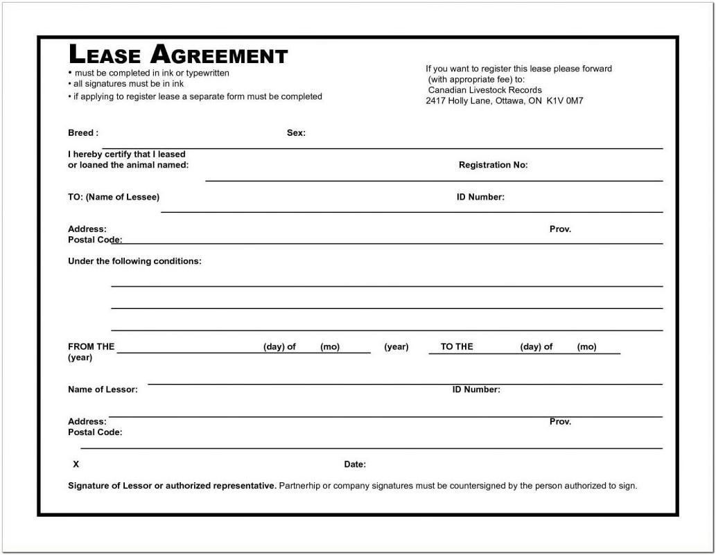 Basic Lease Agreement Template South Africa