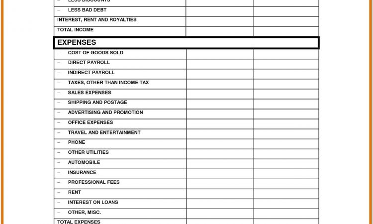 Basic Profit And Loss Format