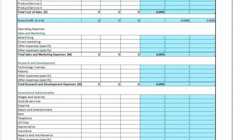 Basic Profit Loss Spreadsheet Template