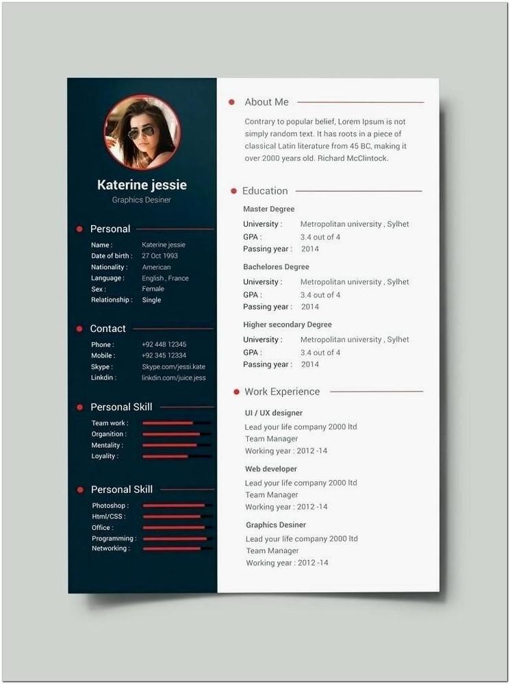 Best Professional Resume Template Download