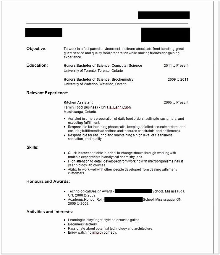 Best Resume Template For No Work Experience
