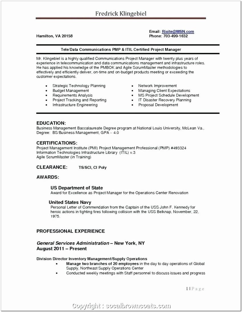 Best Resume Template For Project Manager