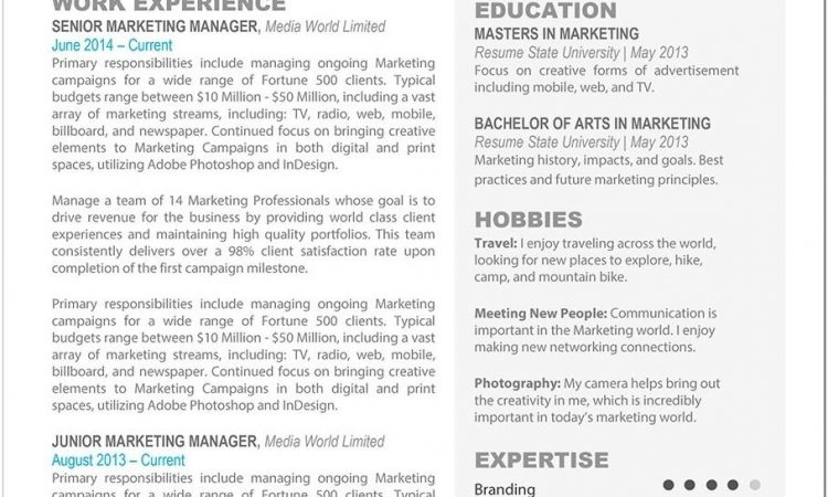 Best Resume Templates For Mac