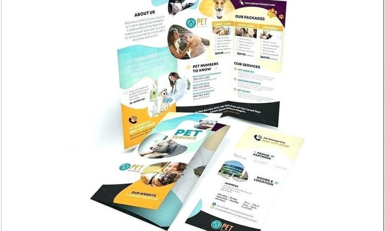 Bi Fold Brochure Template Publisher