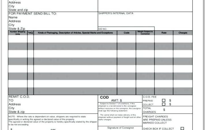 Bill Of Lading Format Word Document