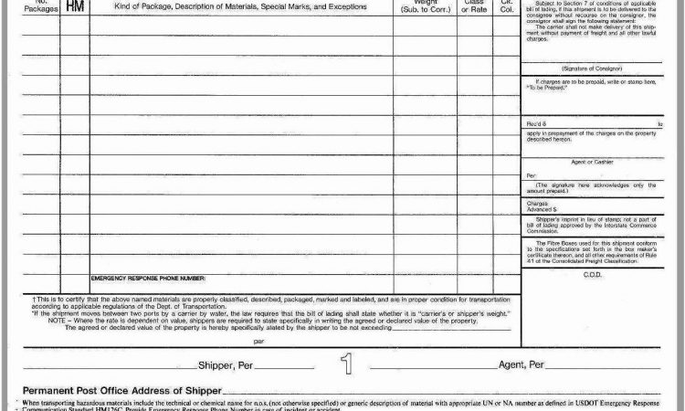 Bill Of Lading Template Pdf