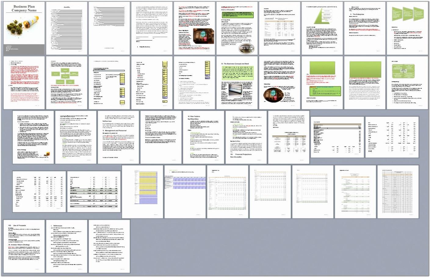 Biotechnology Business Plan Template