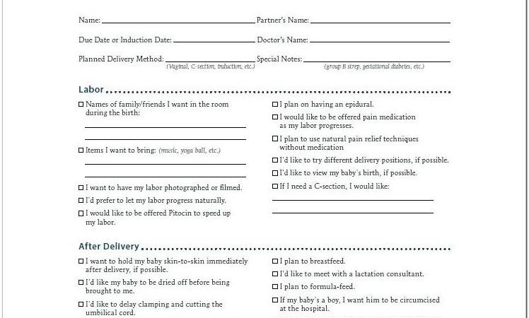 Birth Plan Form Printable