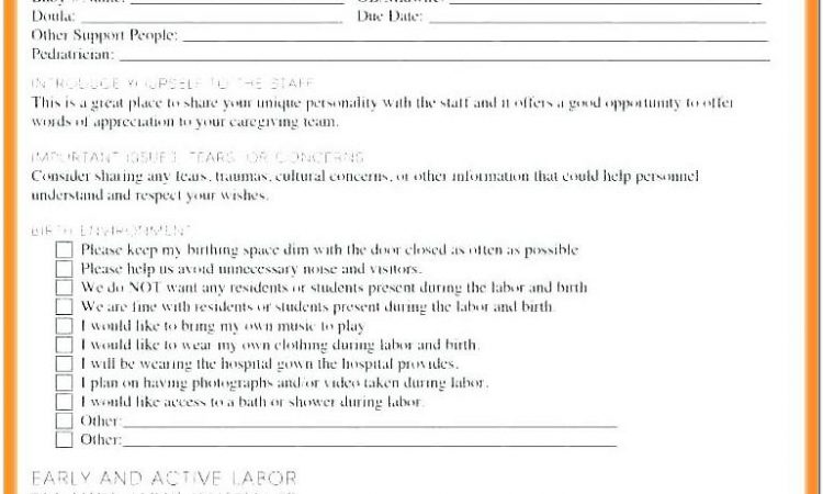 Birth Plan Template Uk Printable