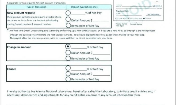 Blank Adp Pay Stub Template Word