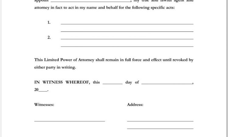 Blank Durable Power Of Attorney Form Illinois