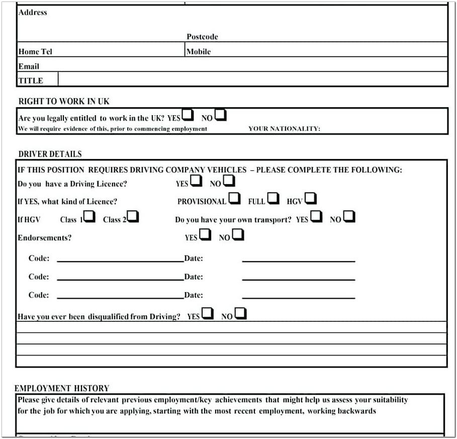 Blank Job Application Sample