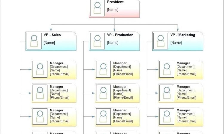 Blank Organizational Chart Template Free