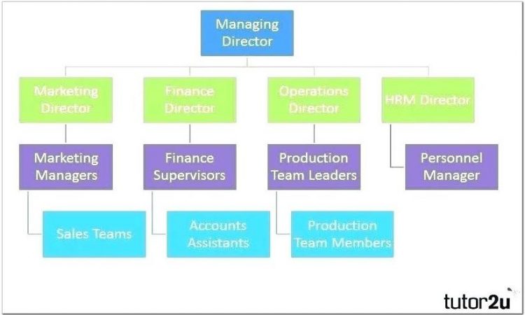 Blank Organizational Flow Chart Template