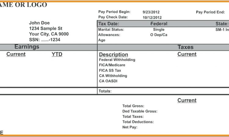 Blank Pay Stub Template