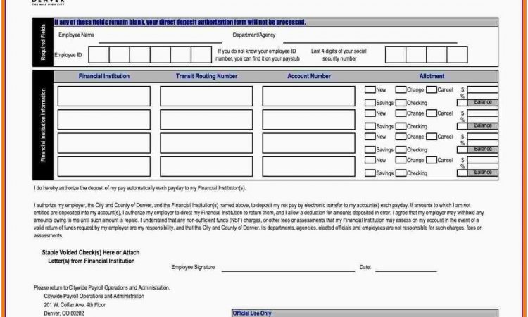 Blank Pay Stub Templates